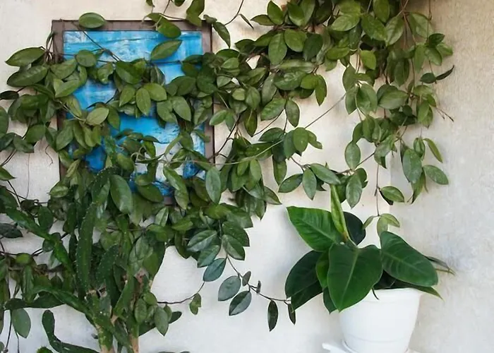 Piccolo 3* Sant'Eufemia Lamezia